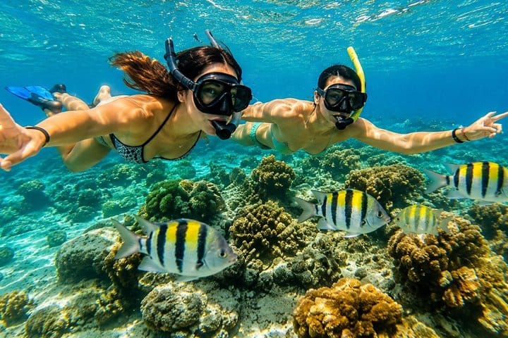 Puerto Plata Sunset Catamaran Cruise Snorkeling and Open Bar 7