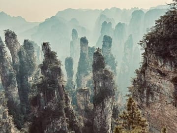 Private Day Tour Zhangjiajie National Forest ParkAvatar Mountain