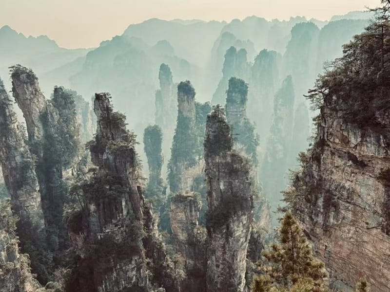 Private Day Tour Zhangjiajie National Forest ParkAvatar Mountain
