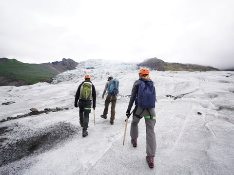 Glacier Encounter , photo 5