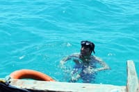 Dive into crystal-clear waters and explore vibrant marine life on our guided snorkeling adventure!