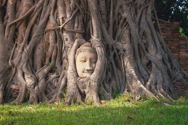 Bangkok: Giant Buddha & Ayutthaya Afterlife Tour 3