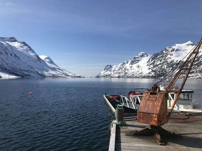 Fjord Sightseeing - TeslaX Electric car 8