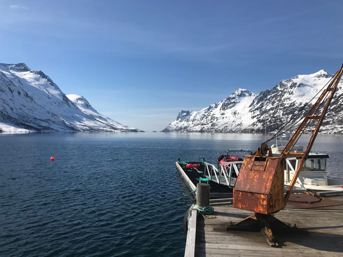 Fjord Sightseeing - TeslaX Electric car 8