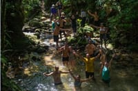 Immersion In An Untouched Ecosystem – Adventurous Full Day Hiking Tour 10