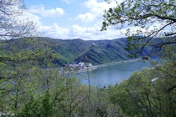 Koblenz to Upper Middle Rhine Valley Cultural Tour