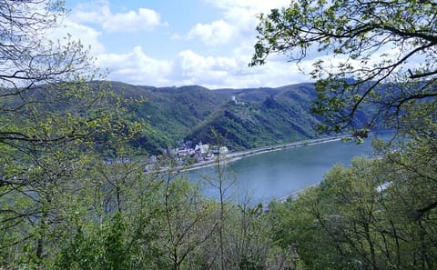 Koblenz to Upper Middle Rhine Valley Cultural Tour