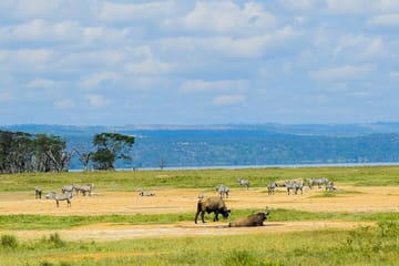 Luxury 5 Days – Manyara, Serengeti, Ngorongoro & Tarangire Safari