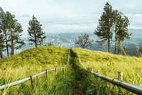 Hanthana One-Day Hike from Kandy 1