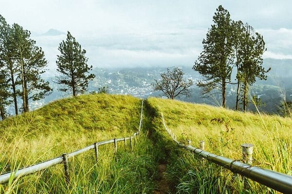 Hanthana One-Day Hike from Kandy