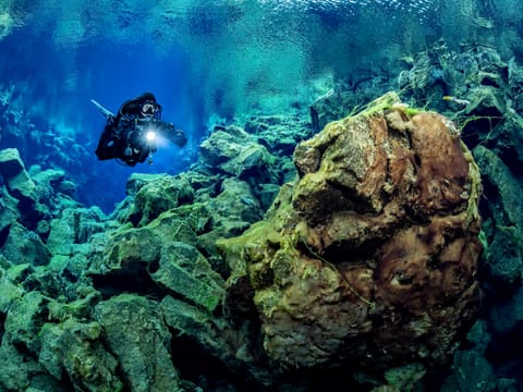 Deep Into the Blue - Silfra Diving from Reykjavík, photo 3