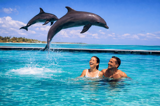 Zanzibar Blue Depths: A 3-Day Luxury Water & Underwater Exploration Tour 2