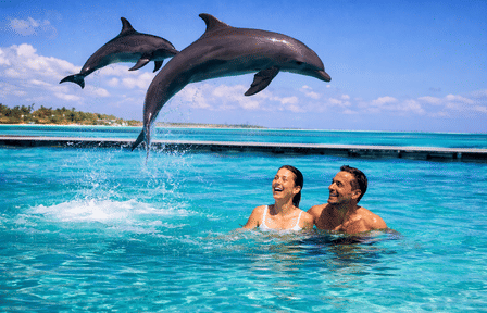 Zanzibar Blue Depths: A 3-Day Luxury Water & Underwater Exploration Tour