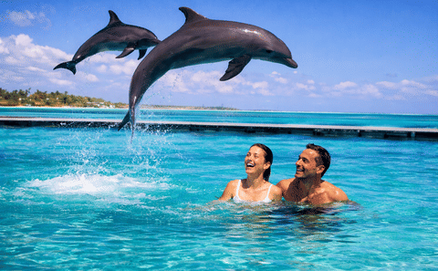 Zanzibar Blue Depths: A 3-Day Luxury Water & Underwater Exploration Tour
