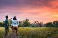 Wilpattu Half Day Safari from Kandy  7