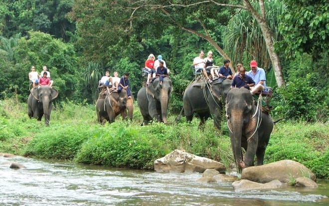 PHUKET-PHANG NGA: Bamboo Rafting, Elephant Bathing + Riding, Sea Turtle and activities choice 7