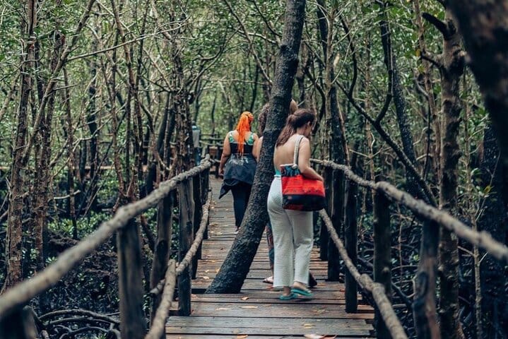 Zanzibar Jozani Forest Reserve Guided Half-Day Tour