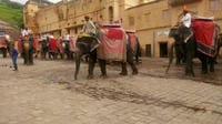 Amer Elephant Ride