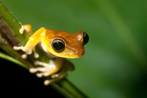 4 Day Refugio Amazonas - Classic Program - Group Service