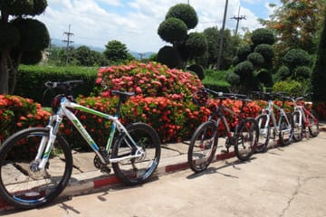 Mountain Biking Tour in Mae Ping Valley, Chiang Mai