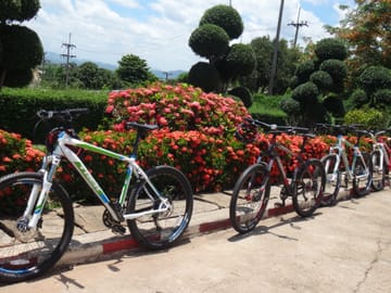 Mountain Biking Tour in Mae Ping Valley, Chiang Mai