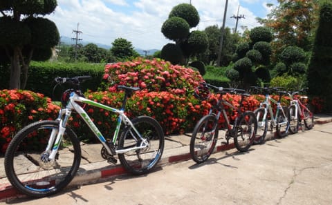 Mountain Biking Tour in Mae Ping Valley, Chiang Mai