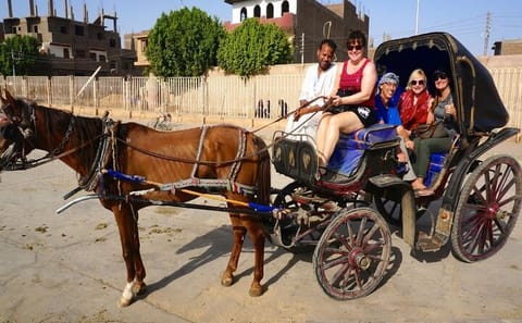 Horse Carriage Ride Tour Along Luxor's Scenic Nile Corniche