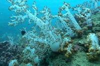 Phu Quoc Ocean Explorer and Fishing Trip 7