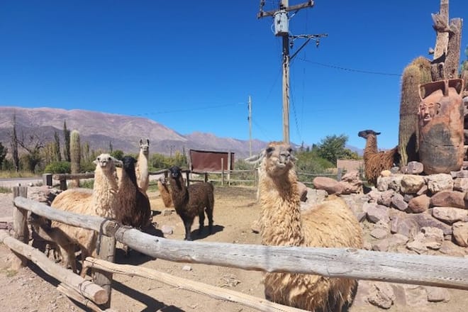 Humahuaca Quebrada Tour with Hornocal photo 6