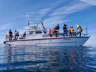 Reykjavík Sea Angling Gourmet, photo 11