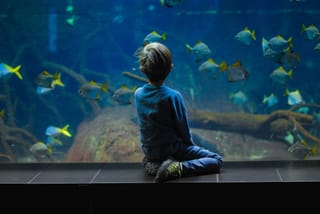 Malta National Aquarium Entry Ticket
