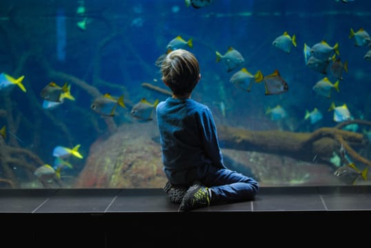 Malta National Aquarium Entry Ticket