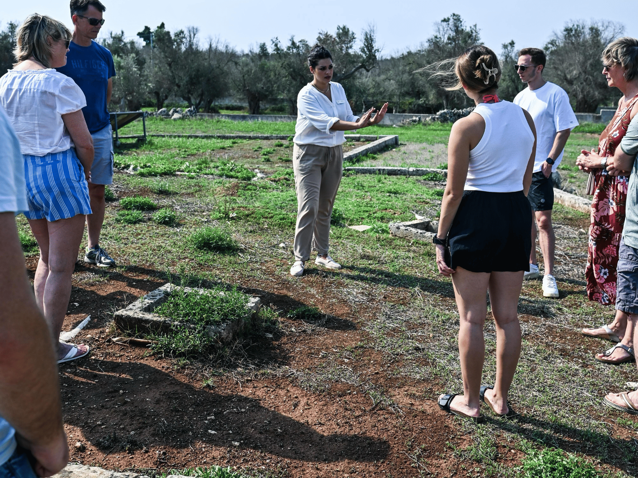 Underground Olive Mill Tour & Tasting near Otranto