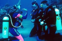 Bodrum Scuba Diving Experince with Lunch and Roundtrip Transfer 9