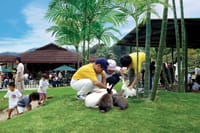 Colmar Tropicale and Batu Caves Day Trip (SIC/Shared Tour) 6