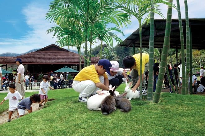 Colmar Tropicale and Batu Caves Day Trip (SIC - Join In Tour) 6