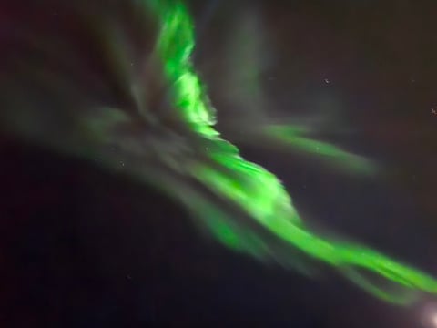 Reykjavík Whales & Northern Lights, photo 24