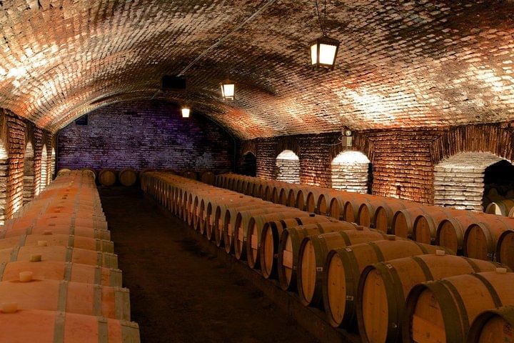 Premium Wine & Cheese Half Day Trip to Concha y Toro Vineyard from Santiago
