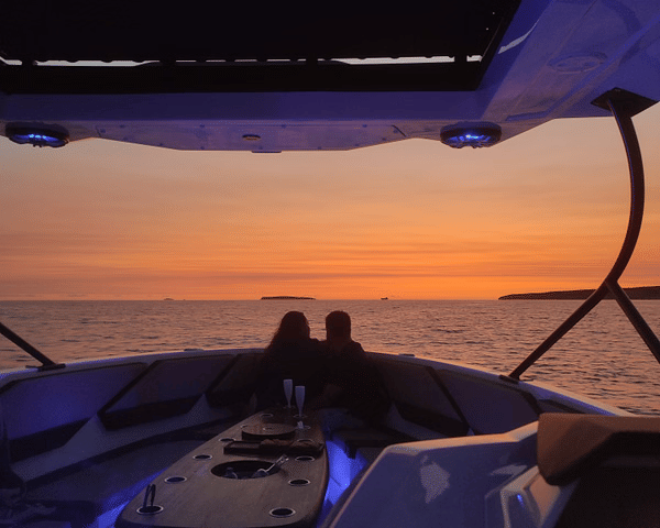 ❖ Alesta Raptor | Private