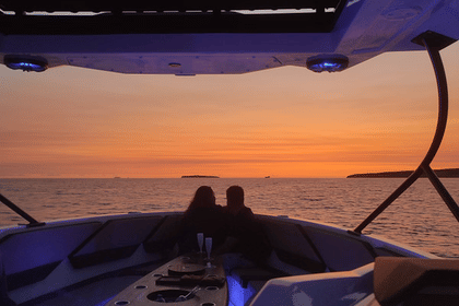 ❖ Alesta Raptor | Private