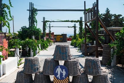 Discover the Wine Santorini Wine Tasting and Vineyard Tour