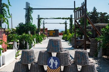 Santorini Wine Tasting and Vineyard Tour with Local Guide