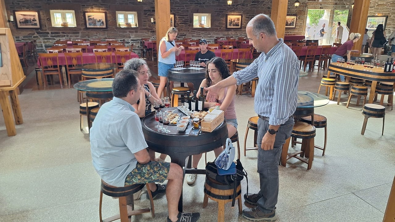 Private Douro Valley Wineries Tour with Wine-tastings and Typical Lunch 10