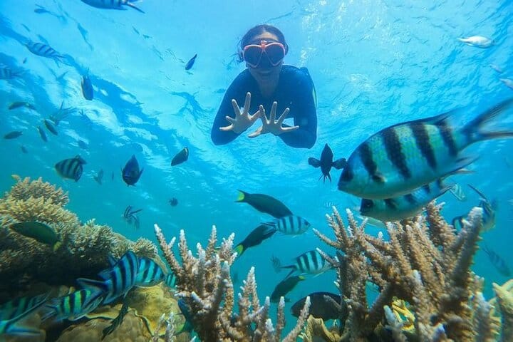 Bali: Blue Lagoon and Tanjung Jepung Snorkeling Tour 3