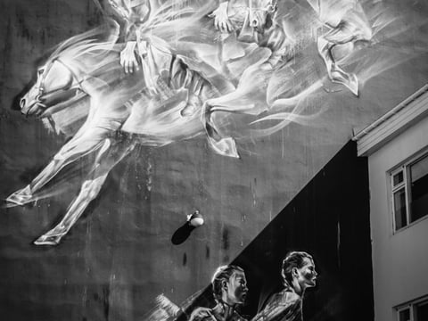 Private Reykjavik Street Art Backstreets and Stories 