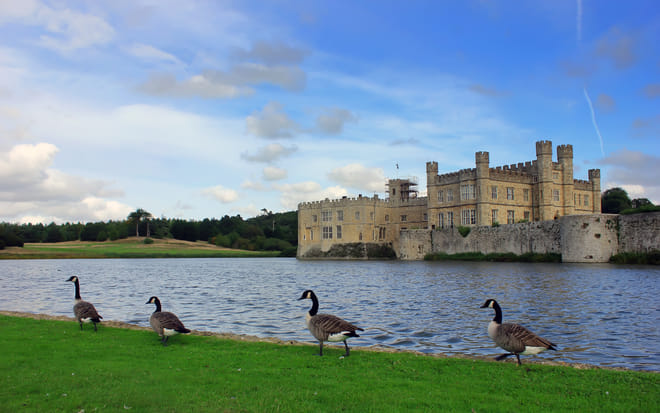 Private Visit of Leeds Castle, Canterbury Cathedral, White Cliffs of Dover & Greenwich with Thames River Cruise photo 5