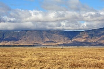 Game Drive Tour to Ngorongoro Crater from Arusha