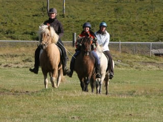 02E - The Elfin Tour, photo 7