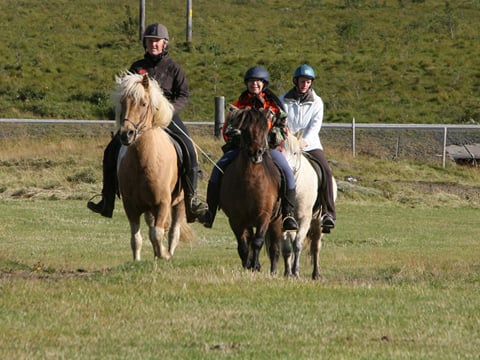 02E - The Elfin Tour, photo 7