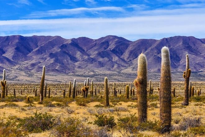 From Salta: Two-Full-Day Tours of Cachi and Humahuaca 5